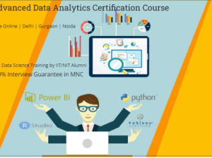 Job Guarantee Data Analyst Course in Delhi.110019.