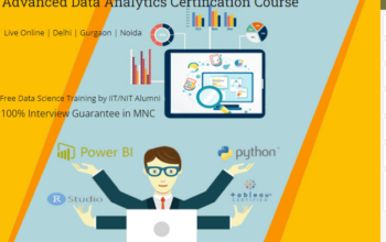 Data Analyst Course in Delhi, 110083.